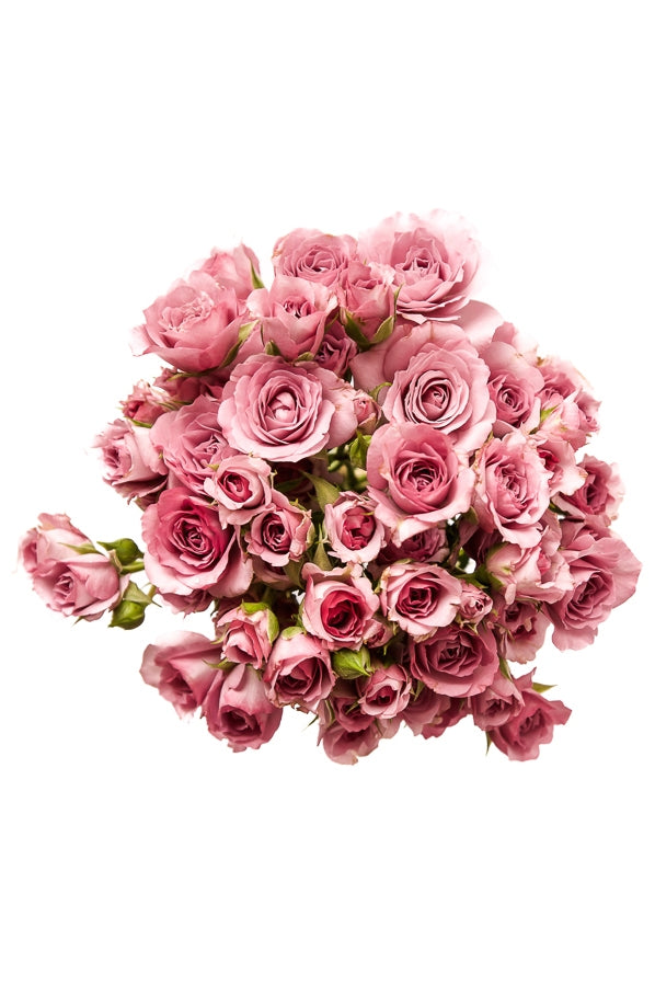 lavender spray rose bouquet