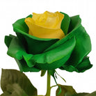 Yellow Green Rose