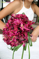 Lilies / Alstroemerias