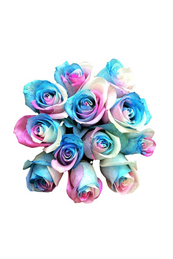 Chloranthy Roses Marshmallow Tinted Roses - Tricolor Roses Online | Flower Explosion