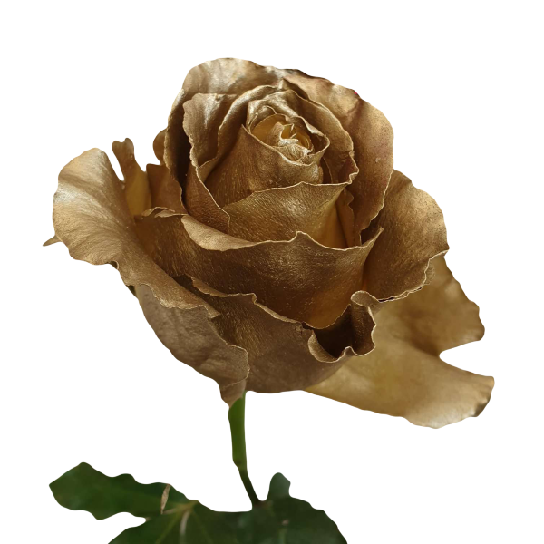 Metallic Gold Roses