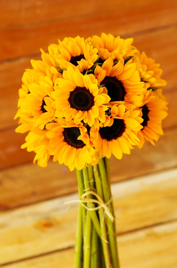 Mini Yellow Sunflowers