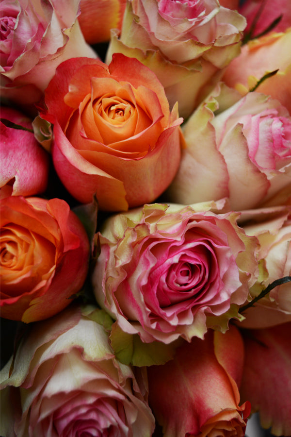 Peaches n' Cream Tri-Rose Bouquet