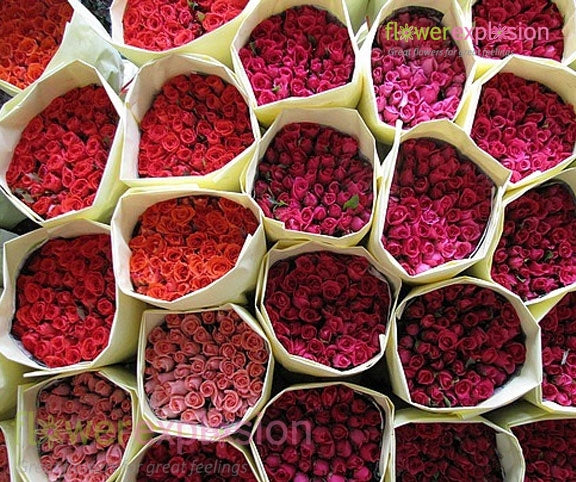 Wholesale Roses | DIY Wedding Flowers – Flower Explosion