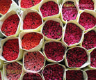Bulk Roses For Sale