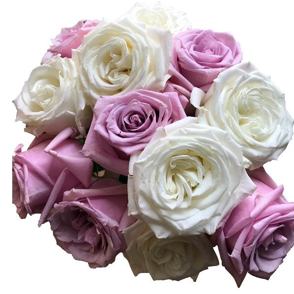 mixed white lavender roses