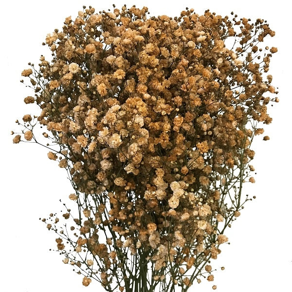 Toffee Brown Baby's Breath Garland