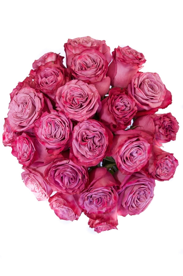 Moody Blues Roses | Your Wholesale Flower Shop - Flower Explosion