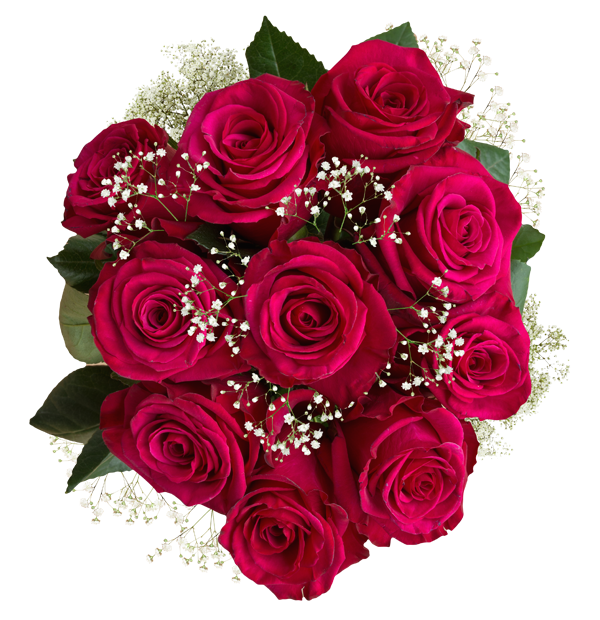 Hot Pink Roses Babys Breath Bouquet