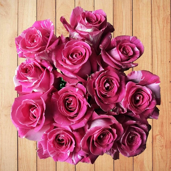 Tonal Roses Wild Topaz Rose - Unique Blooms | Flower Explosion Online