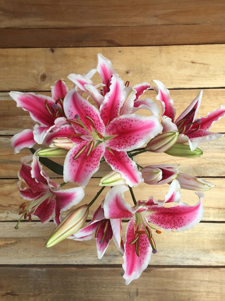 pink tiger lily flower bouquet Superstar | Next Day Lilies Bouquet