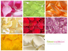Rose Petals