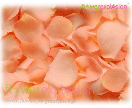 Peach Rose Petals