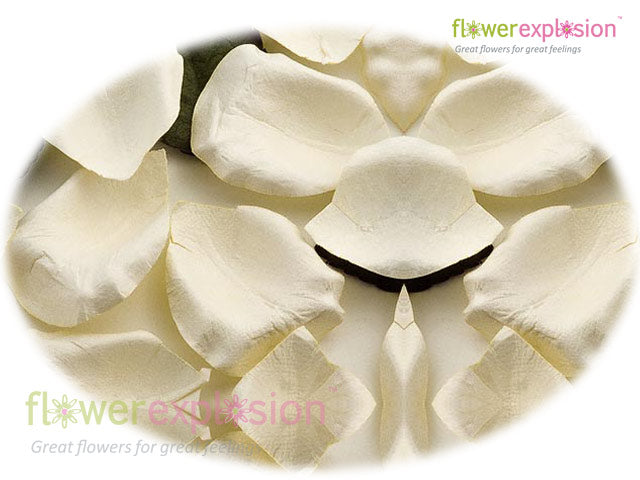 White Petals