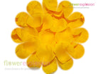 Yellow Petals