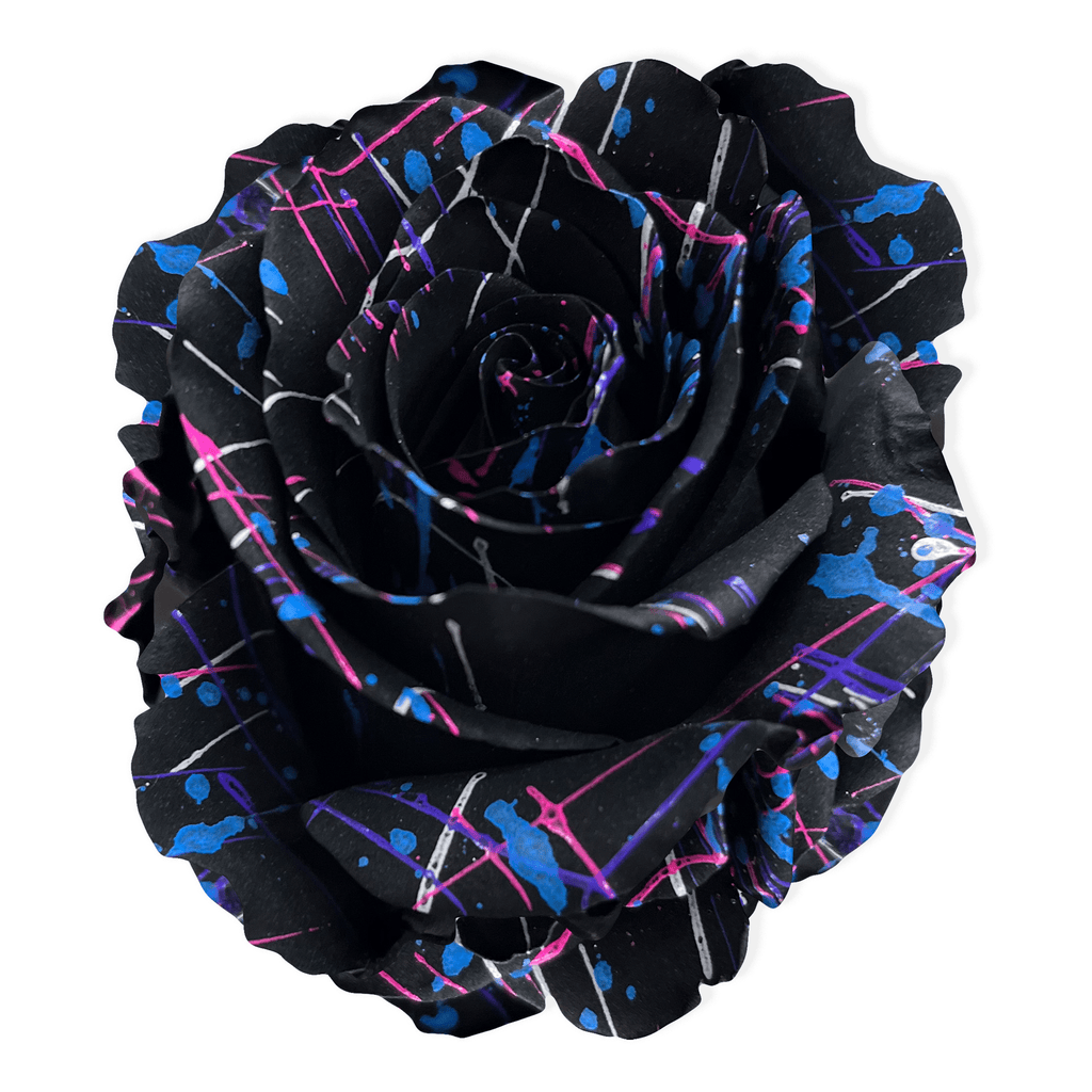 Picasso Black Party - Exotic Roses - Flower Explosion