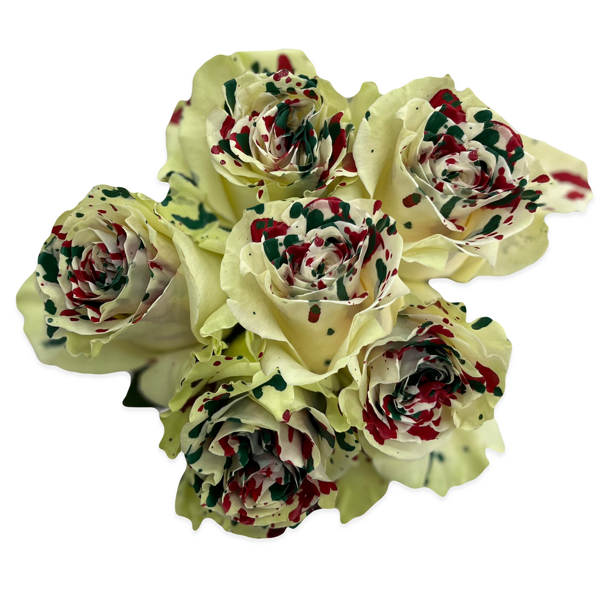 Red Picasso Roses Picasso Xmas Spotted Roses - Flower Explosion