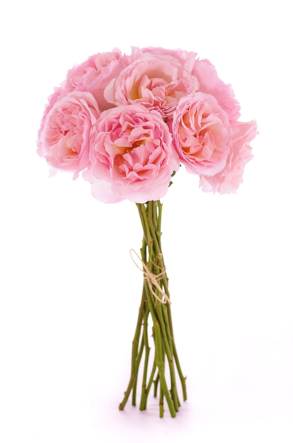 Light pink flowers for sale - Light pink bouquet - Flower Explosion
