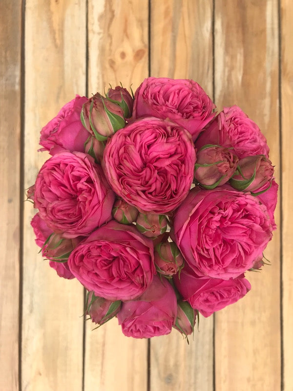A Large Lush Bouquet of Red Garden Roses and Buds in Black