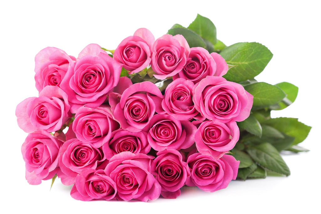 50 Roses Pink 50 Fresh Pink Roses - Farm Direct Flower Delivery – Flower Explosion
