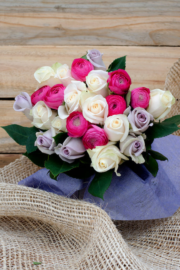 Prima Donna – Flower Explosion