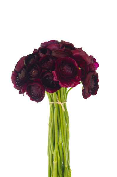 Dragon Ranunculus Purple Ranunculus Centerpiece