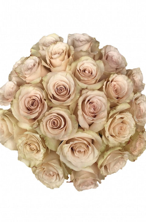 Cream roses - Buy cream roses - Flower Explosion