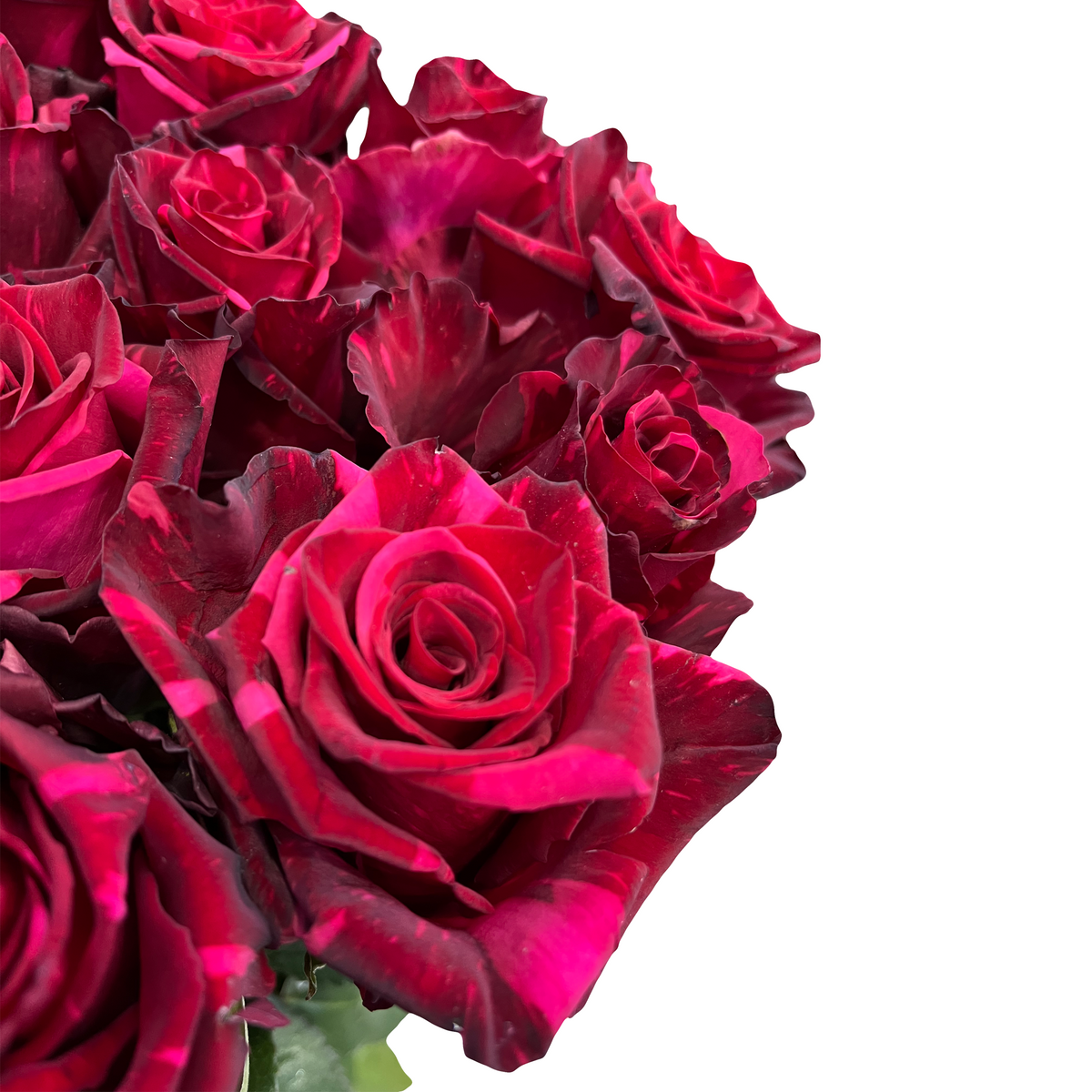 Dark red roses for sale - Deep red roses - Flower Explosion
