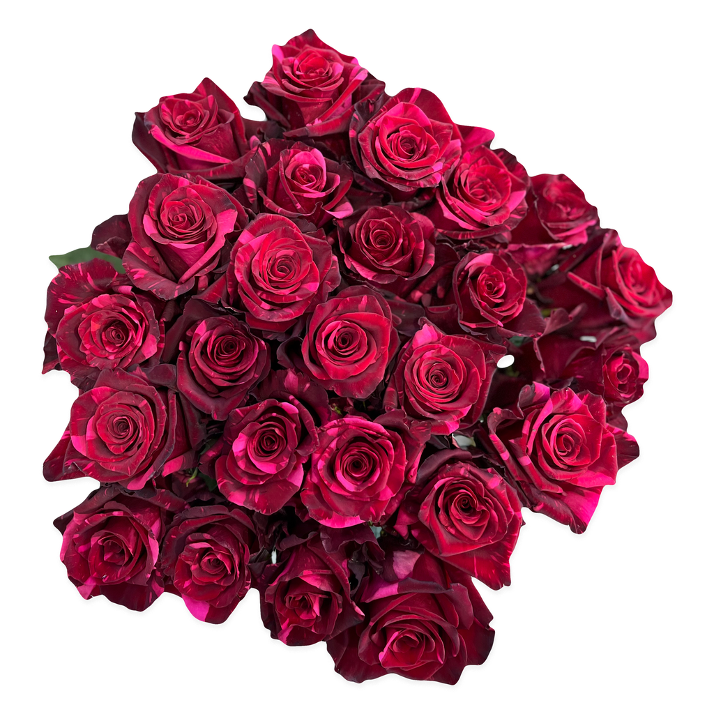 Dark red Rose Bardou Job  Dark red roses, Job gifts, Gift