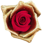 jingle bell red golden rose
