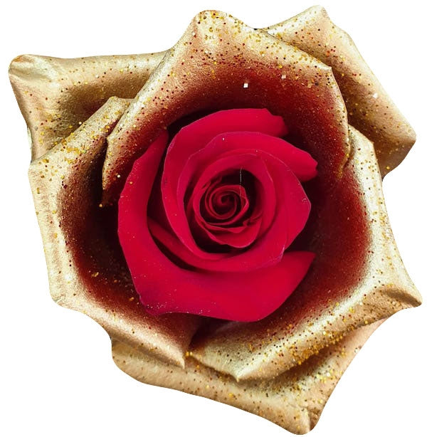 jingle bell red golden rose