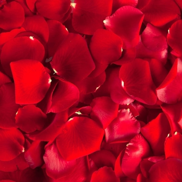 Drop Dead Velvety Red Real Rose Petals Eco-friendly & Bio-degradable