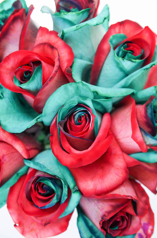 red and green tinted roses