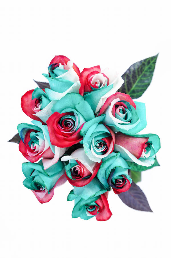 christmas roses, RO-TIN-CHRISTMAS-BO-12, RO-TIN-CHRISTMAS-BO-24, RO-TIN-CHRISTMAS-BO-36, RO-TIN-CHRISTMAS-BU-50, RO-TIN-CHRISTMAS-BU-75, RO-TIN-CHRISTMAS-BU-100, RO-TIN-CHRISTMAS-BU-150, RO-TIN-CHRISTMAS-BU-200