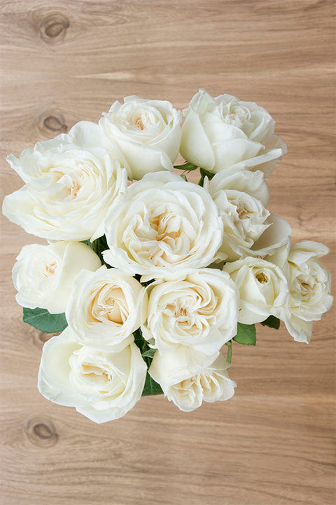 Ivory roses for sale - Buy ivory rose flowers - Flower Explosion