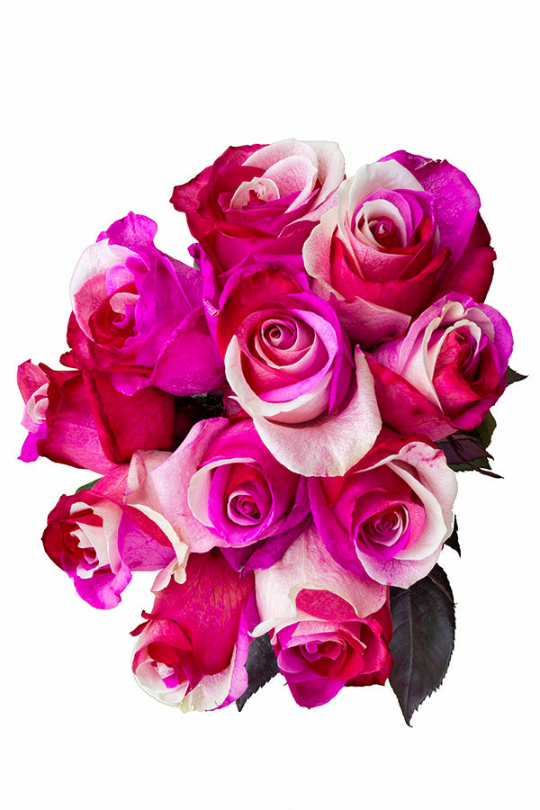 Free delivery - Premium - Fuchsia Glitter - White and Pink Tinted Roses -  Flowers Near Me - Magnaflor