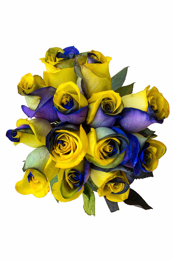 purple and yellow roses
