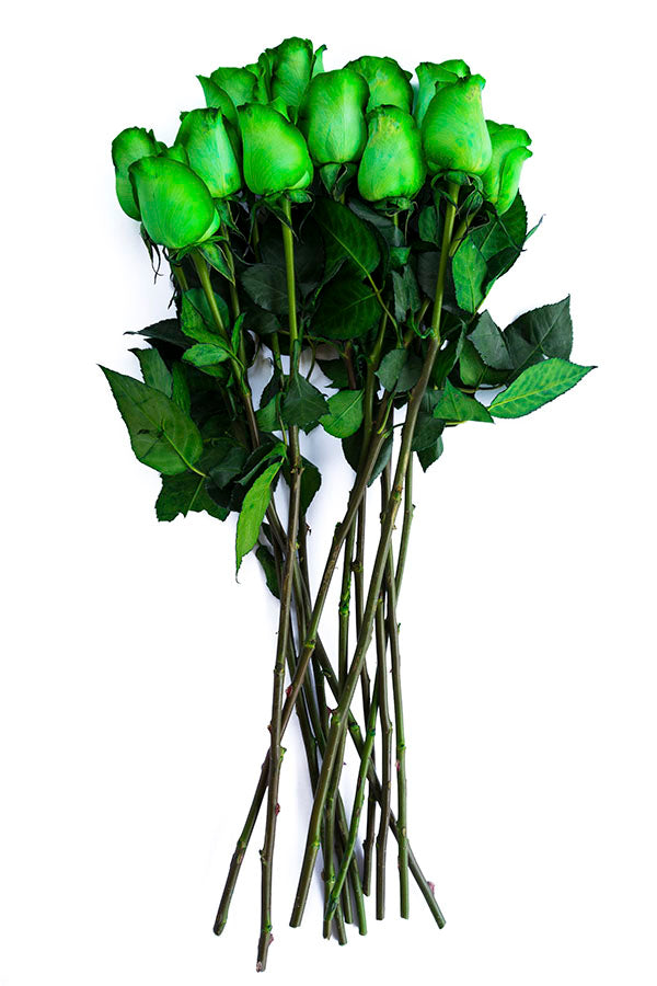 Tinted Green Roses