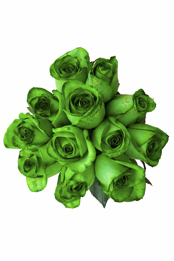 Green Tinted Rose