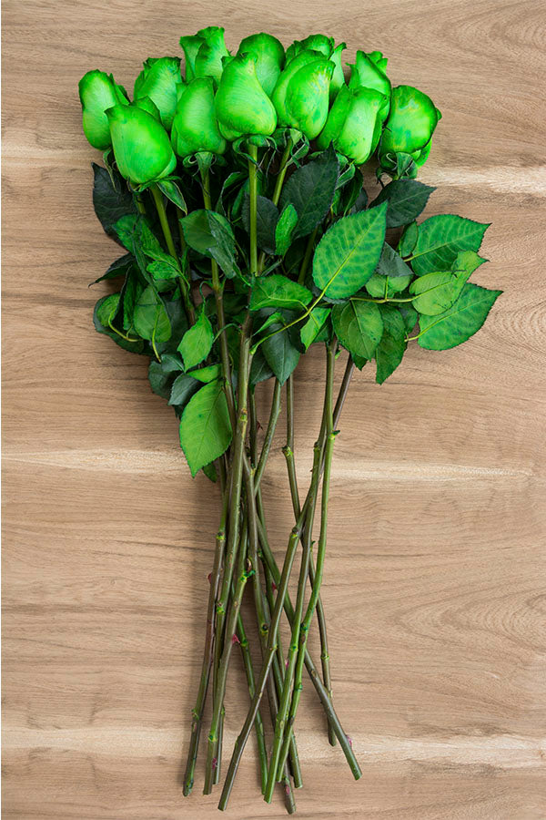 Green Tinted Rose
