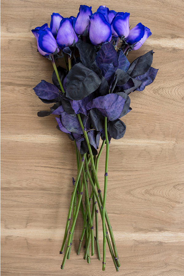 Purple Christmas Roses Tinted Purple Roses | Purple Roses for Sale – Flower Explosion
