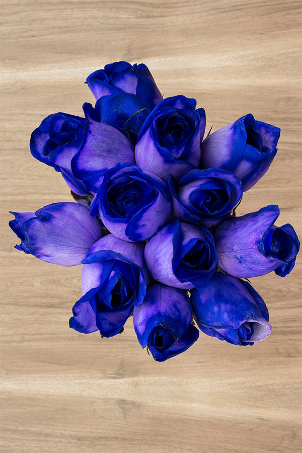 Tinted Purple Roses | Purple Roses for Sale – Flower Explosion