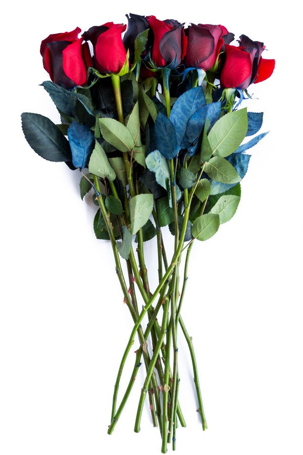 Red and Black Tinted Roses - flowerexplosion.com