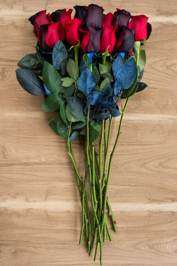 Red and Black Tinted Roses - flowerexplosion.com
