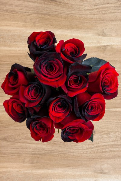 African Red Roses Bouquet Of Black And Red Roses