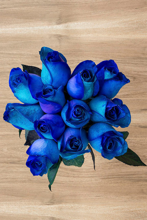 Blue roses for sale - Buy cheap blue roses - Flower Explosion