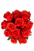 Star 2000 Rose