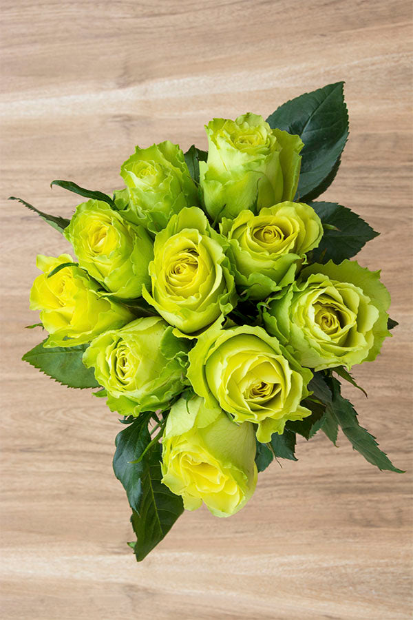 Limbo Rose | Green Roses | Fresh Wedding Roses – Flower Explosion
