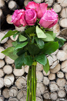 Purple Cezanne Rose