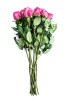Purple Cezanne Rose